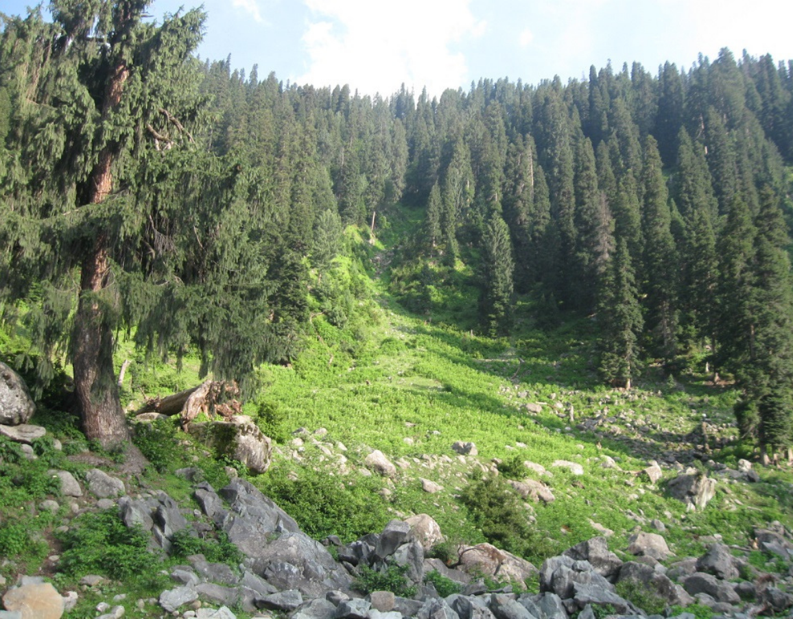 Hirpora Wildlife